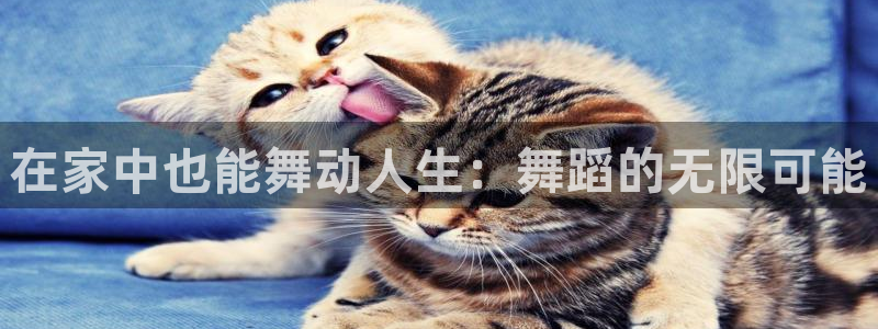 在家中也能舞动人生：舞蹈的无限可能