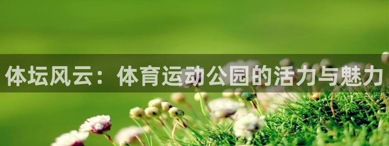 体坛风云：体育运动公园的活力与魅力