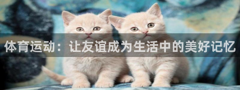 体育运动：让友谊成为生活中的美好记忆