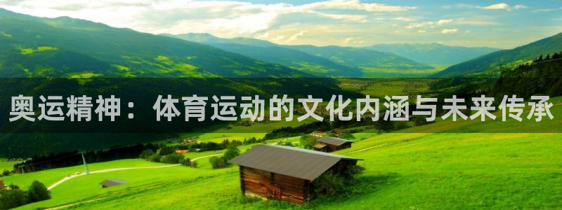 奥运精神：体育运动的文化内涵与未来传承