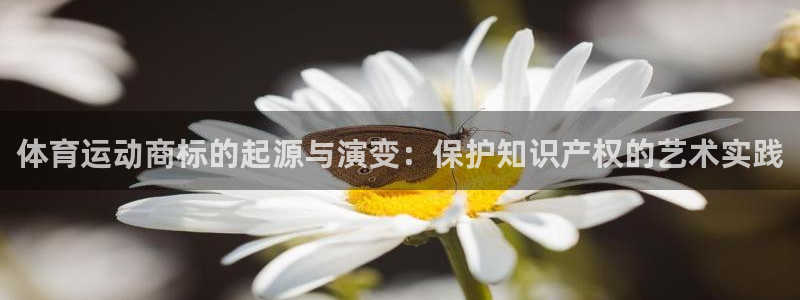 体育运动商标的起源与演变：保护知识产权的艺术实践
