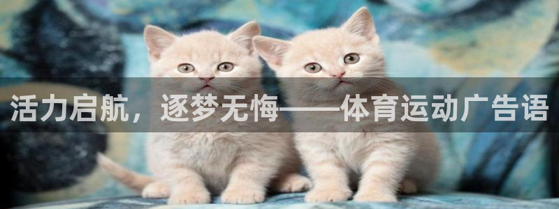 活力启航，逐梦无悔——体育运动广告语