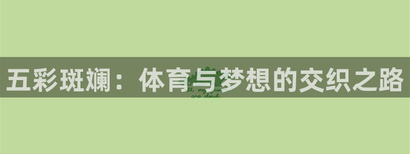 五彩斑斓：体育与梦想的交织之路
